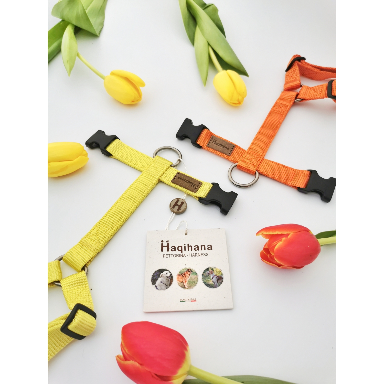 Harness Yellow