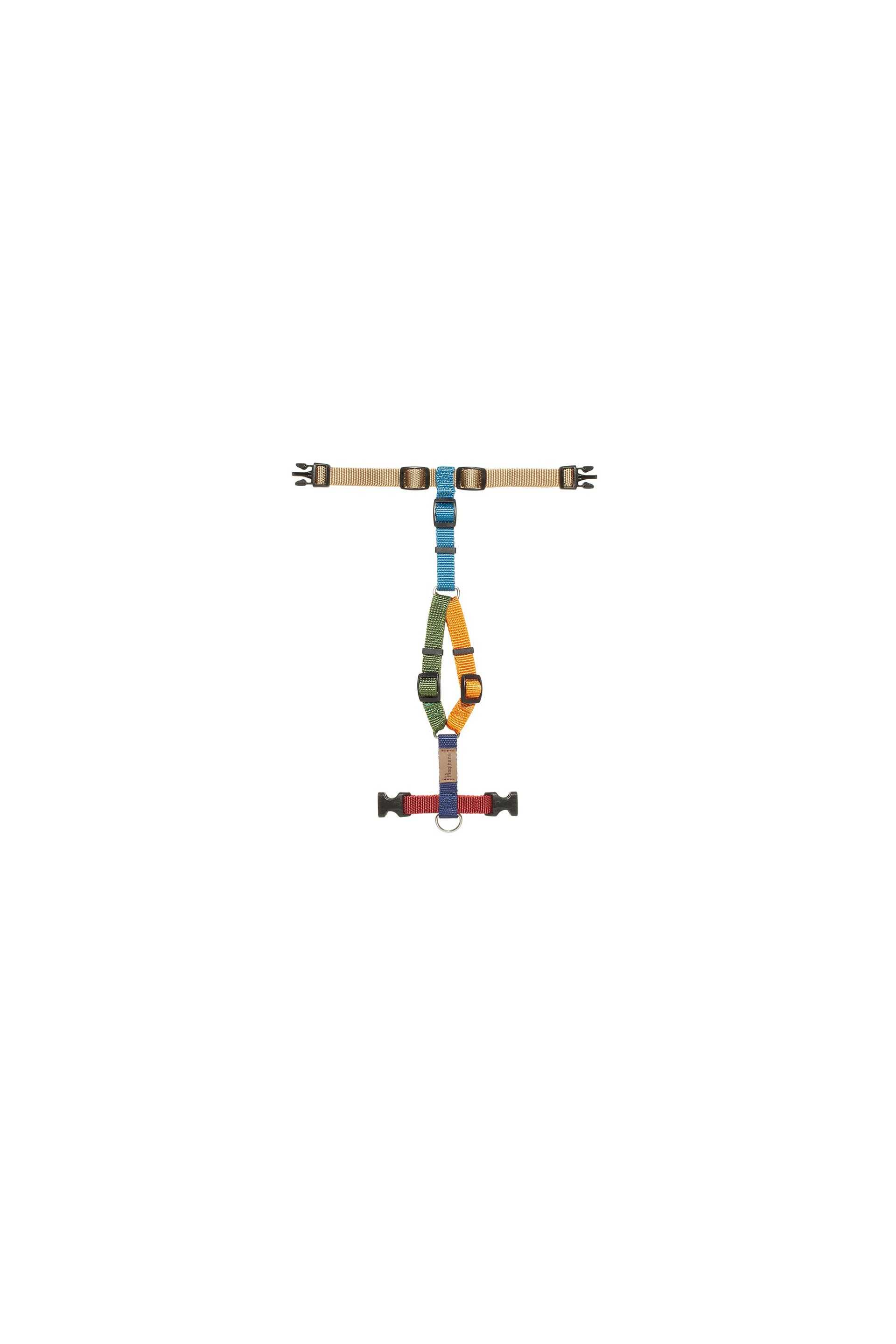 Harness Multicolor