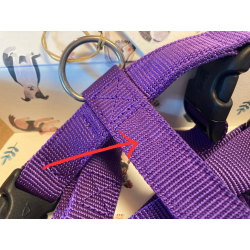 Violet Harness - Size M - damaged webbing