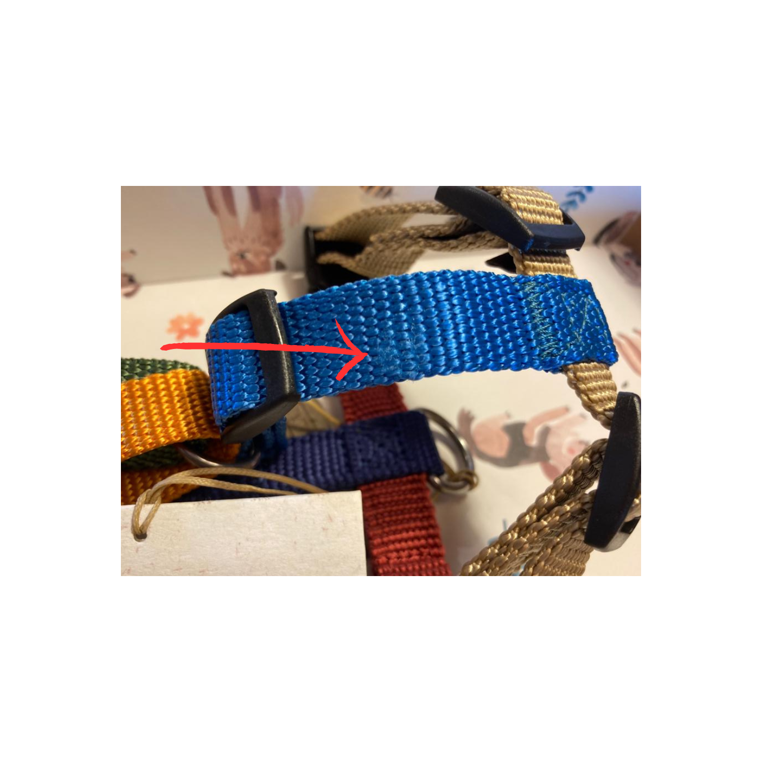 Multicolor harness- Size XXXS - Damaged webbing