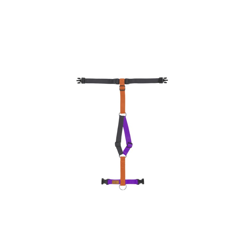 Halloween Harness limited edition 2023