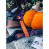 Halloween Harness limited edition 2023