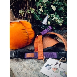 Halloween Harness limited edition 2023