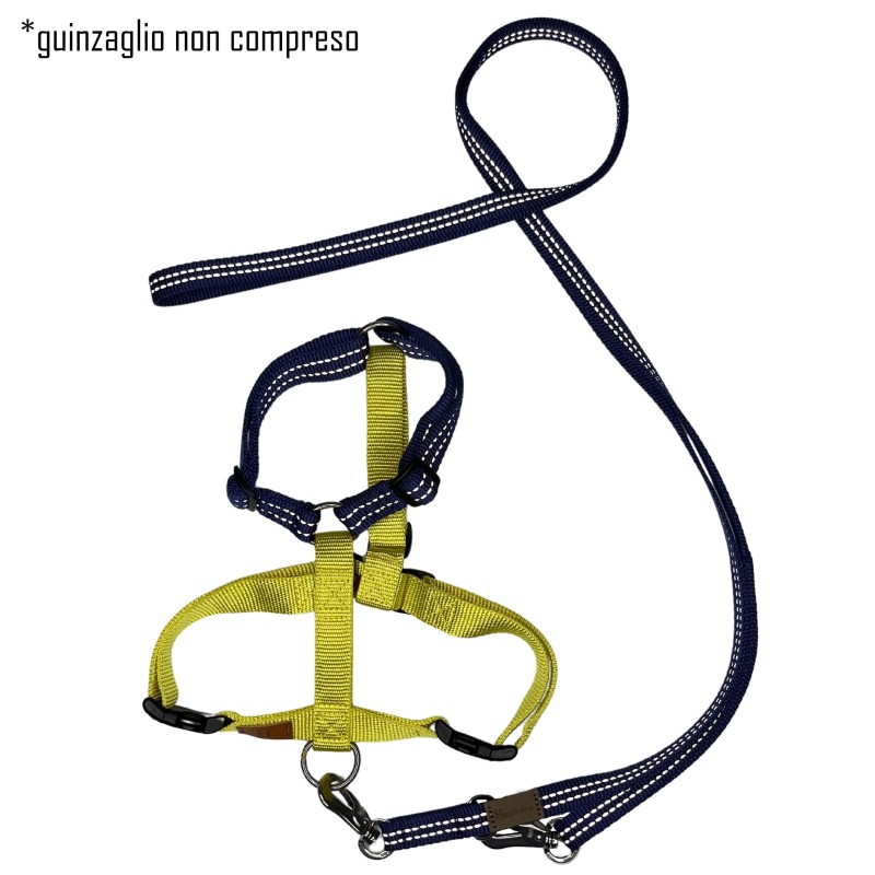 Moonlight Harness - Special Edition