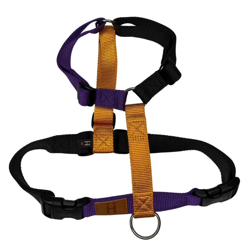 Halloween Harness limited edition 2024