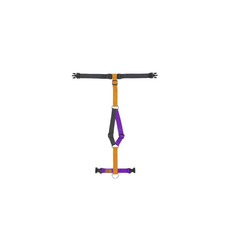Halloween Harness limited edition 2024