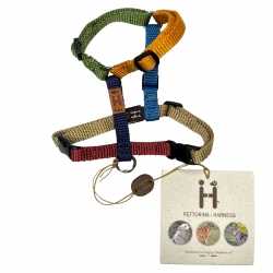 Harness - 4XS