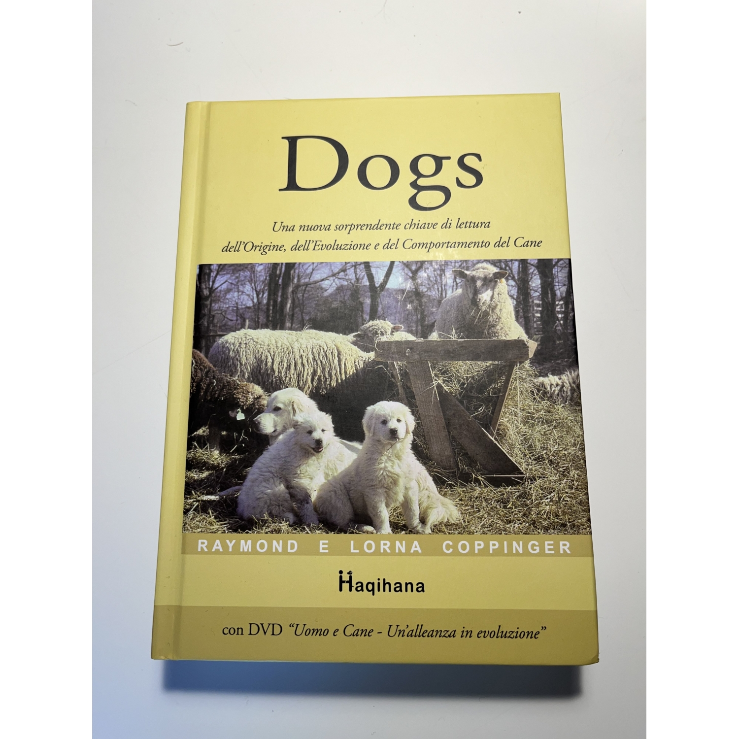 Libro "Dogs" - stampa precedente