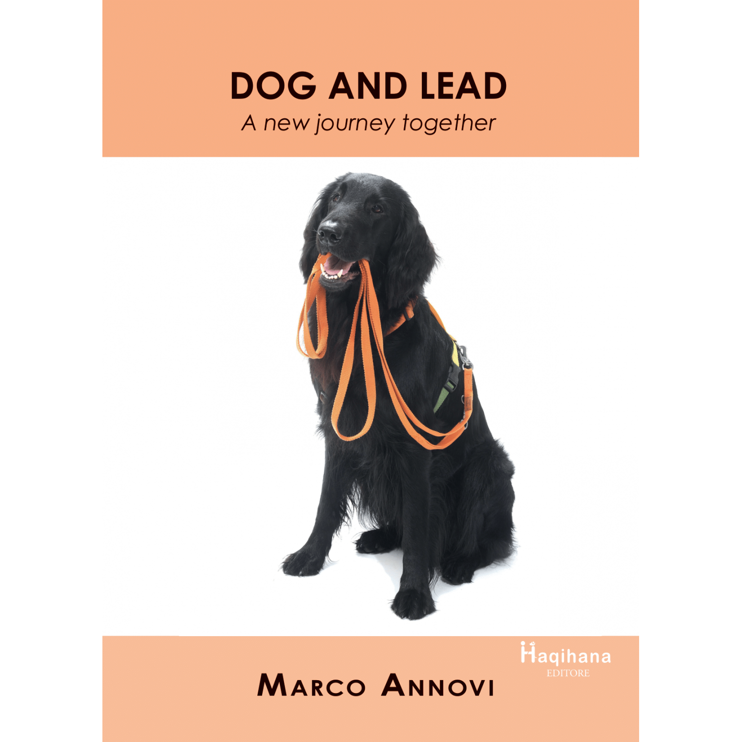 Dog and Lead - A new journey together