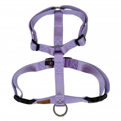 Harness Lavender