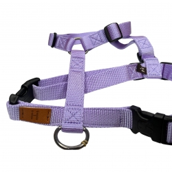 Harness Lavender