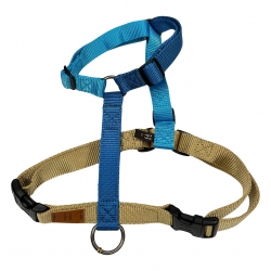 Harness Caribbean Bay