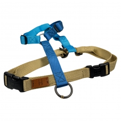 Harness Caribbean Bay