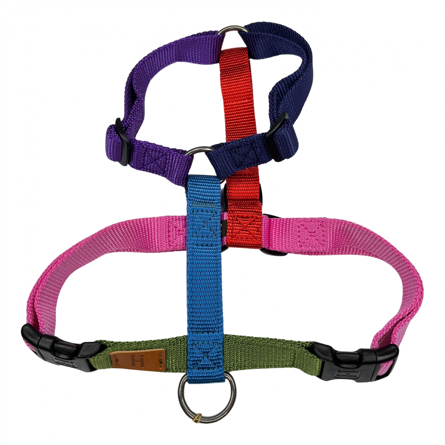 Harness Northern Lights