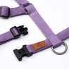 Harness Lavender