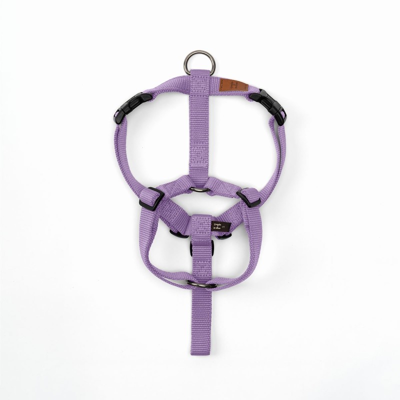 Harness Lavender