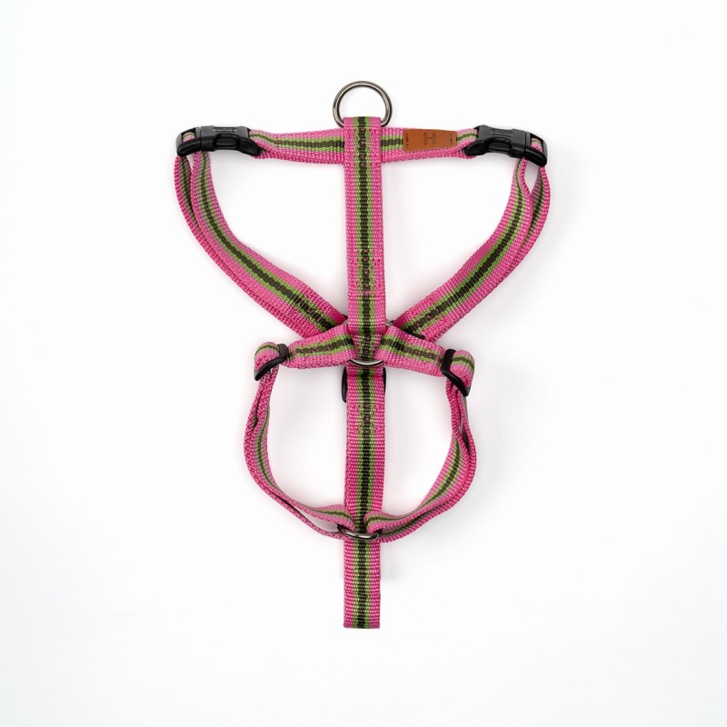 Harness Chinchero - Limited Edition