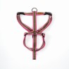 Harness Chinchero - Limited Edition