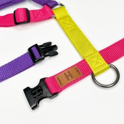 Harness Nineties - Limited Edition