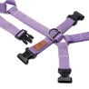 Harnesses Double H Lavender