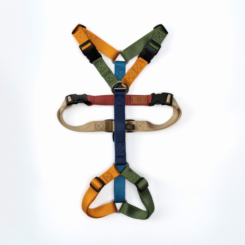 Harnesses Double H Multicolor
