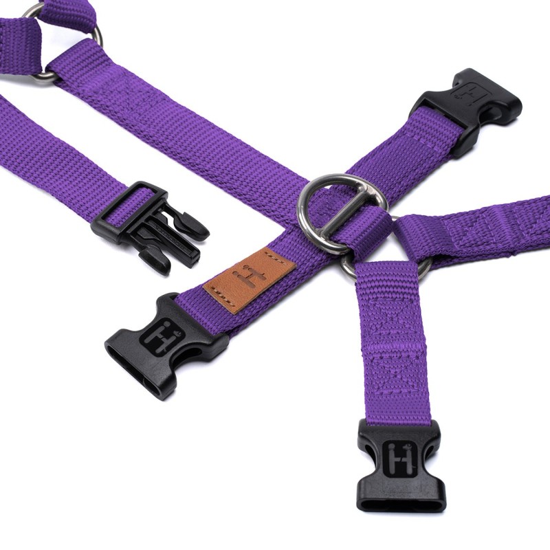 Harnesses Double H Violet
