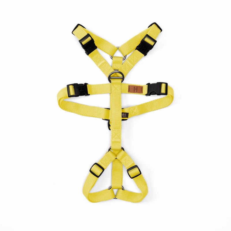 Pettorina Doppia H Yellow Haqihana