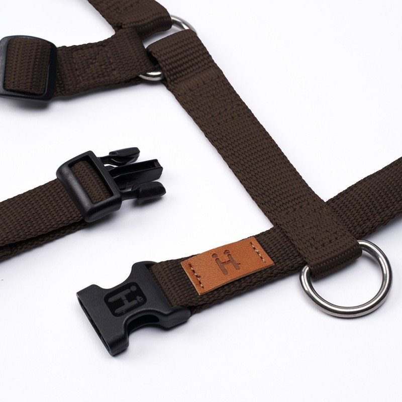 Harness Chocolate