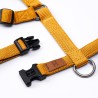 Harness Orange