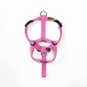 Harness Pink