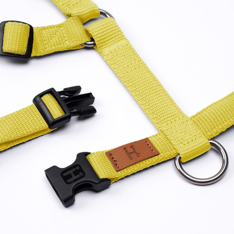 Harness Yellow