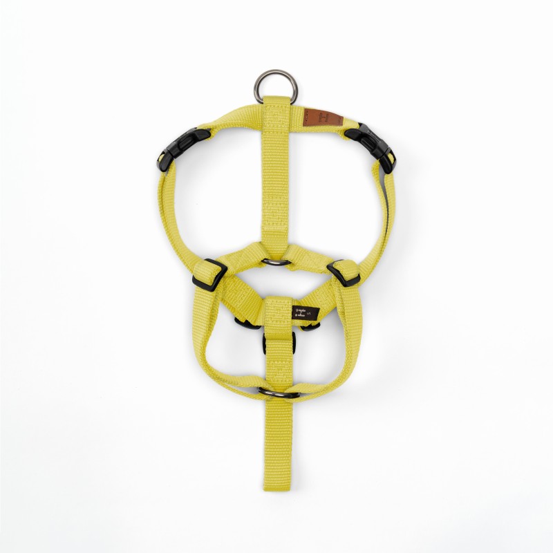 Pettorina Yellow Haqihana