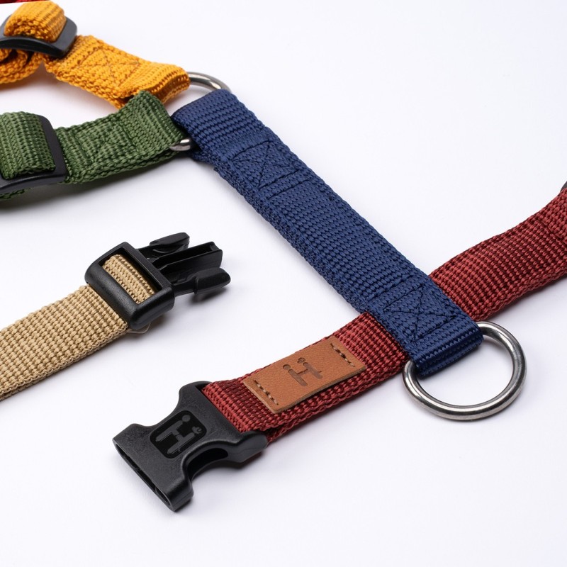 Harness Multicolor