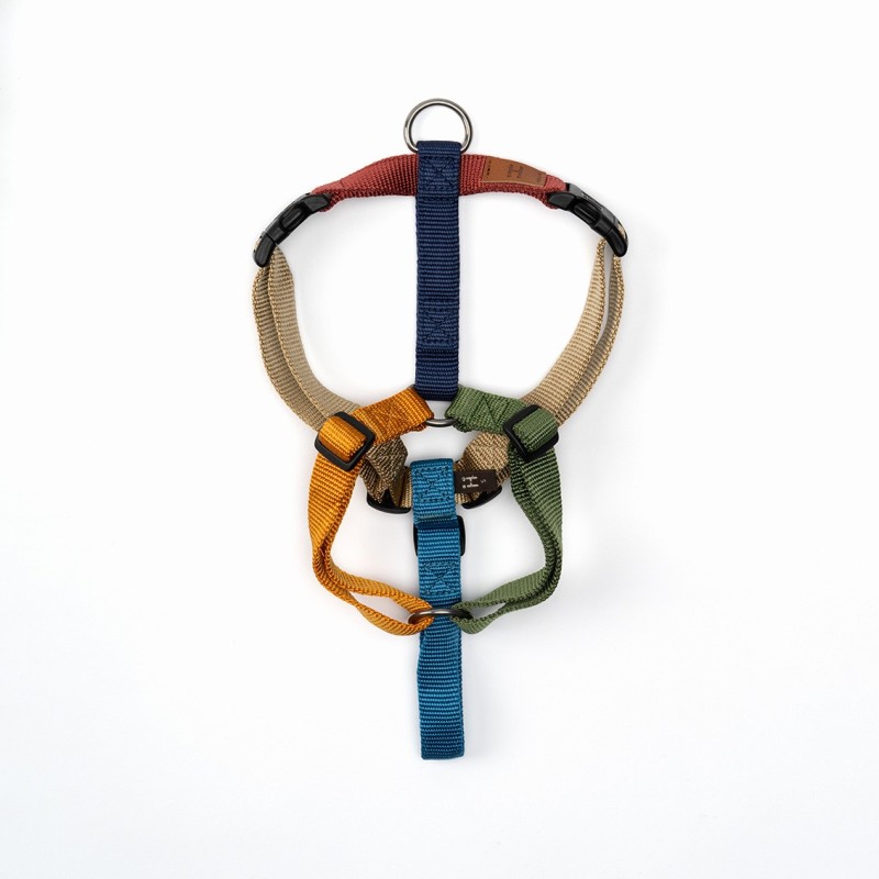 Harness Multicolor