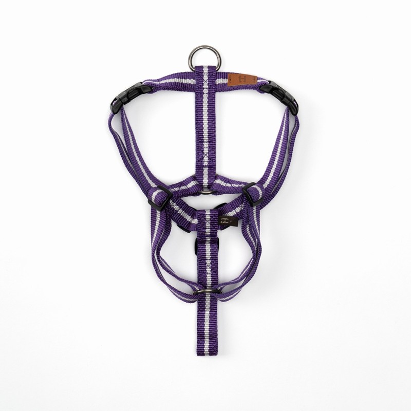 Harness Secret