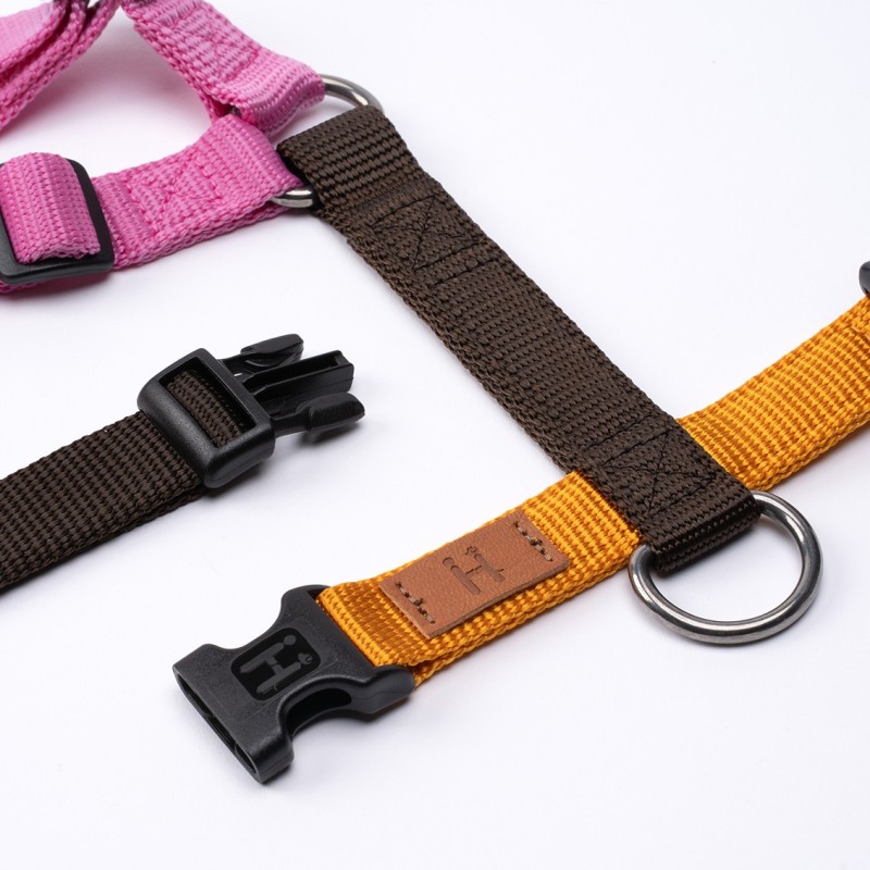 Harness Sakura - Limited Edition