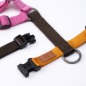 Harness Sakura - Limited Edition