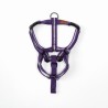Harness Florence