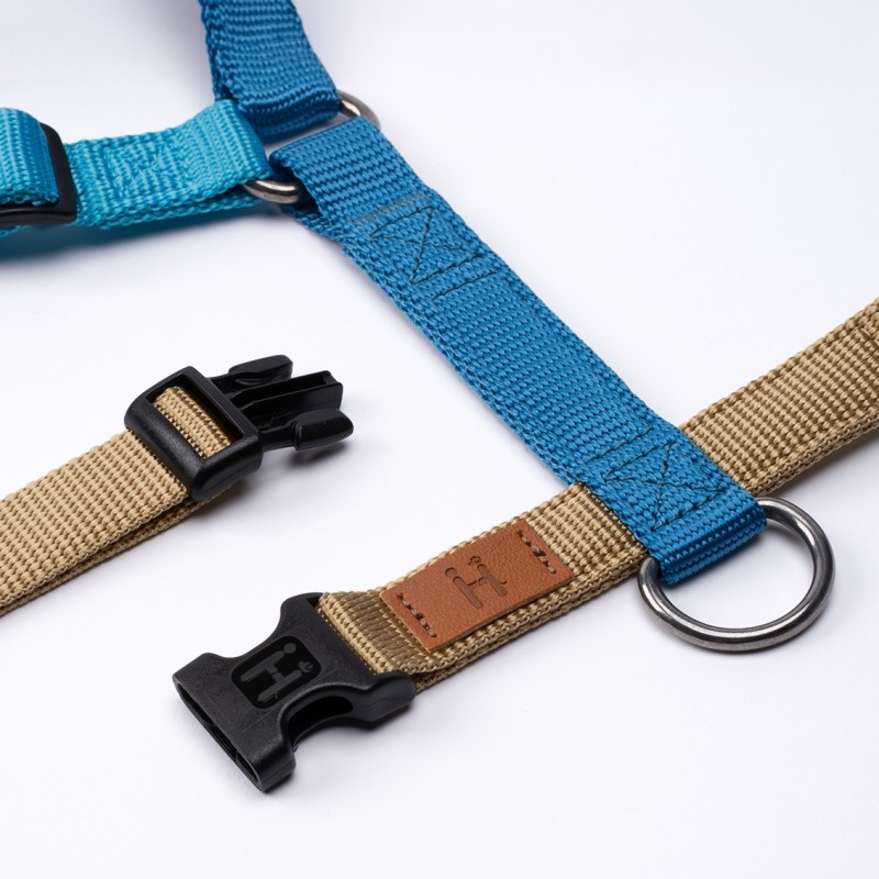 Harness Caribbean Bay