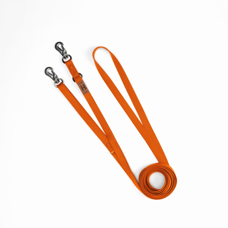 Leash Carrot