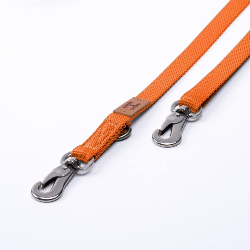 Leash Carrot