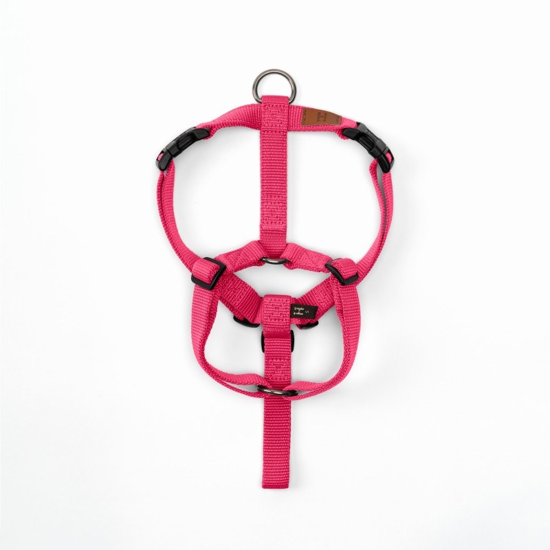 Harness Neon Bubblegum