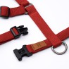 Harness Rosso