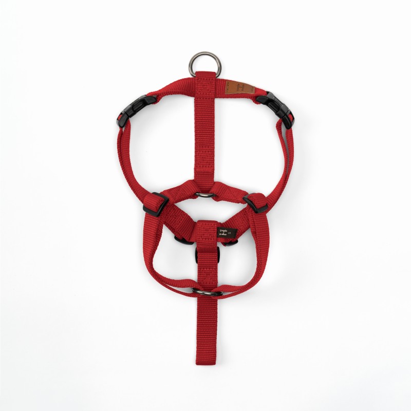 Harness Rosso