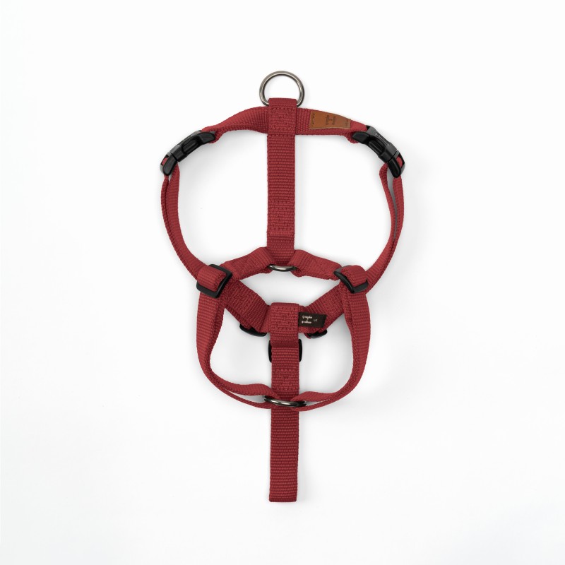 Harness Wine