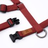 Harness Wine