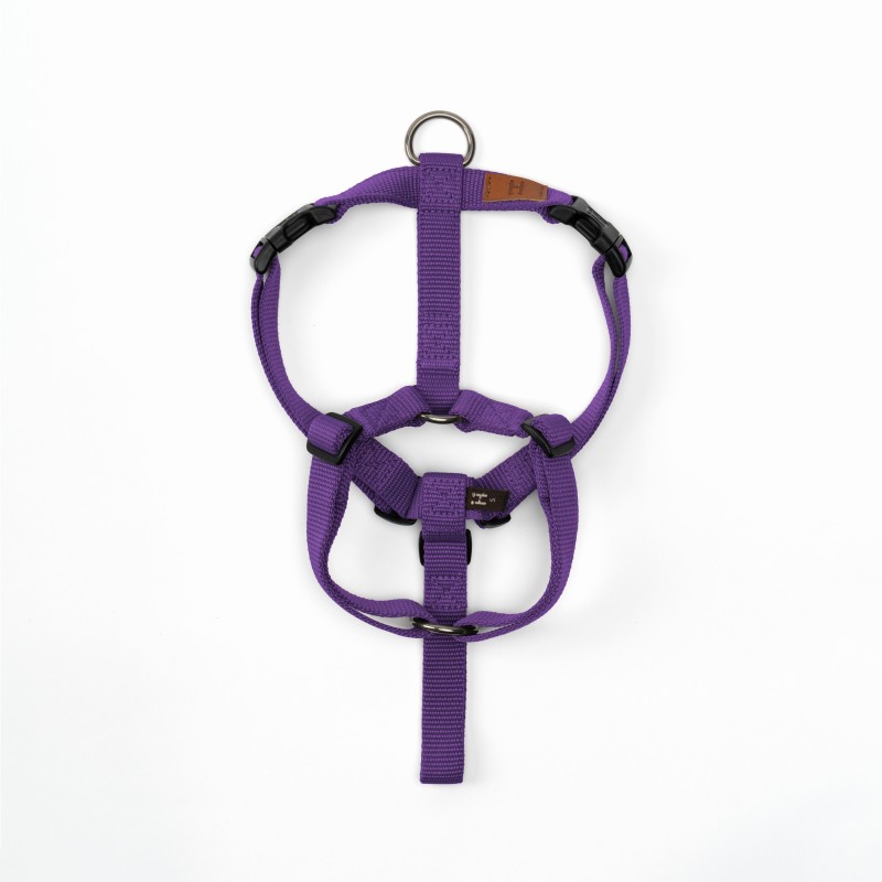 Pettorina Violet