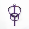 Pettorina Violet