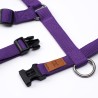 Pettorina Violet