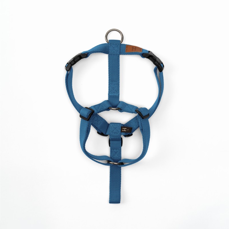 Harness Turquoise